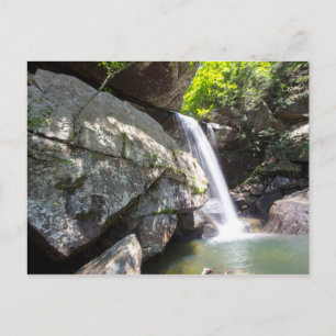 Eagle Cliff Falls, Kentucky Postkarte