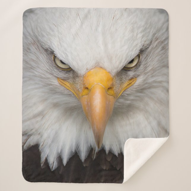 Eagle Closeup Sherpadecke (Vorderseite)