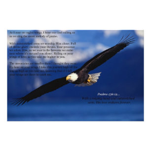 Eagle, das hoch ansteigt fotodruck