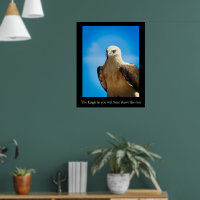 Eagle Design Motivierend Inspiration Poster