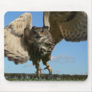 Eagle-Eule Swooping Mousepad