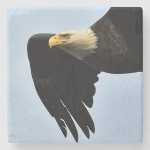Eagle Eye Portrait Steinuntersetzer
