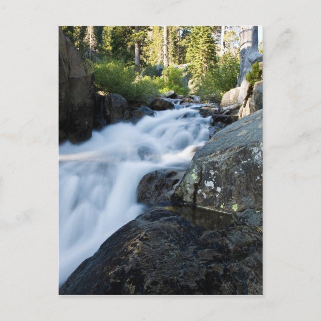 Eagle Fall Postkarte (Vorderseite)