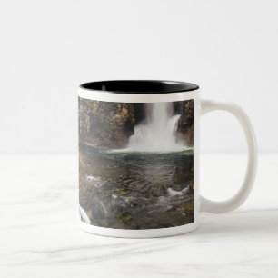 Eagle Falls aka Trick Falls in den zwei Zweifarbige Tasse