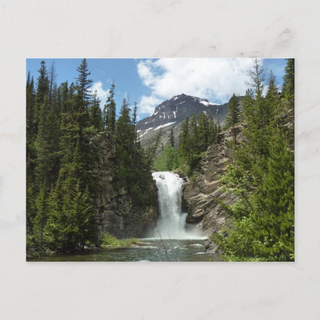 Eagle Falls im Glacier National Park Postkarte (Vorderseite)