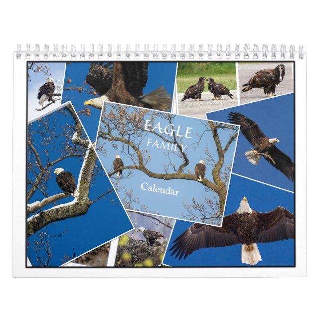 Eagle Family Calendar Kalender (Titelbild)