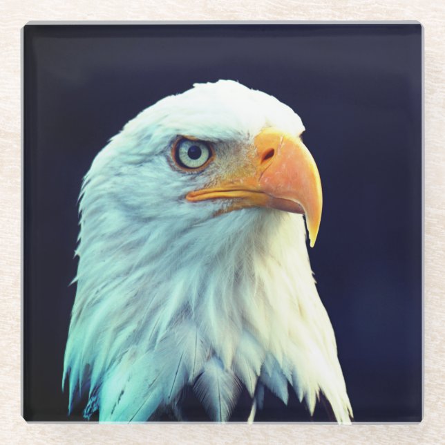 Eagle Glasuntersetzer (Vorderseite)