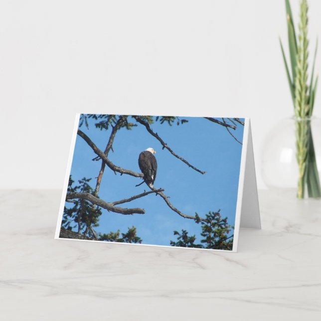 Eagle Grußkarte Karte (Vorderseite)