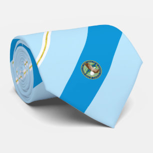 Eagle (Idaho) Stadtflagge Neck Tie Krawatte