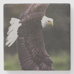 Eagle im Flug Steinuntersetzer