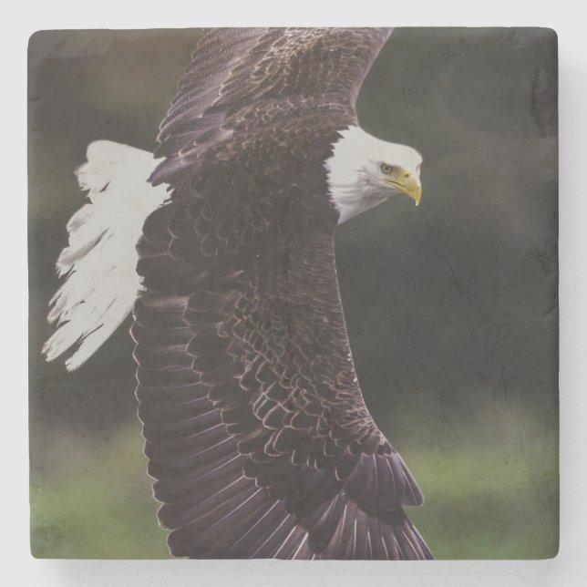 Eagle im Flug Steinuntersetzer (Vorderseite)
