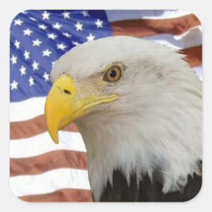 Eagle-Kennzeichnung Quadratischer Aufkleber