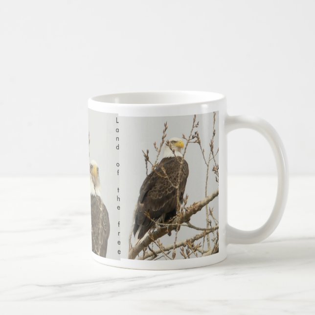 Eagle-Land vom freien Kaffeetasse (Rechts)