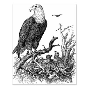 Eagle Large Card Maaking Rubber Briefmarke Gummistempel