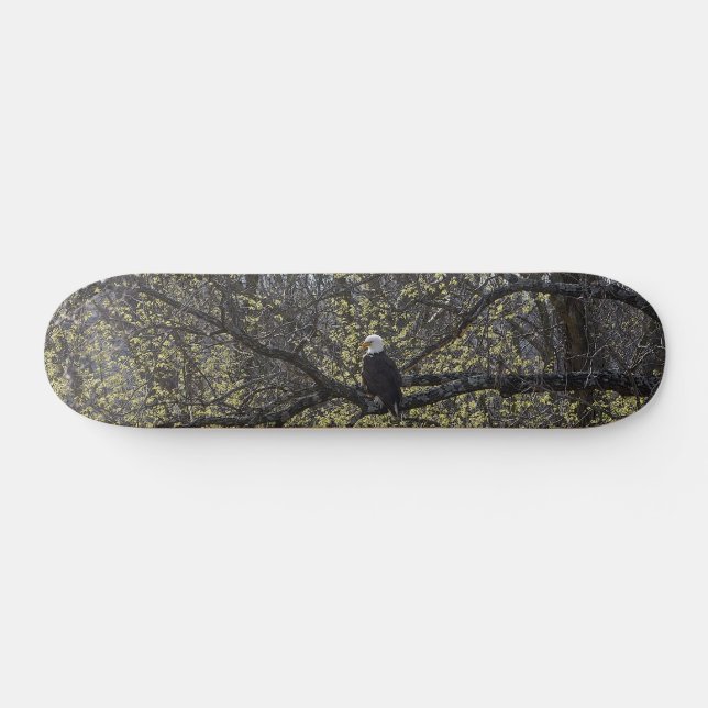 Eagle Lookout Painterly Skateboard (Horizontal)