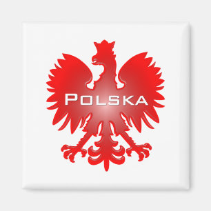 Eagle Magnet