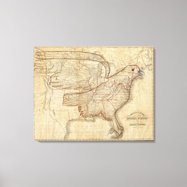 Eagle Map der Vereinigten Staaten Leinwanddruck (Vorderseite)