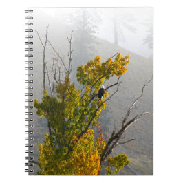 Eagle-Notizbuch Notizblock