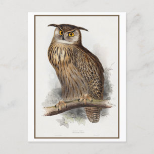 Eagle Owl Illustration von Edward Lear Postkarte