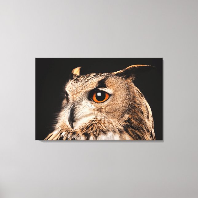 Eagle Owl Leinwanddruck (Vorderseite)