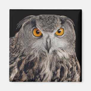 Eagle Owl Magnet
