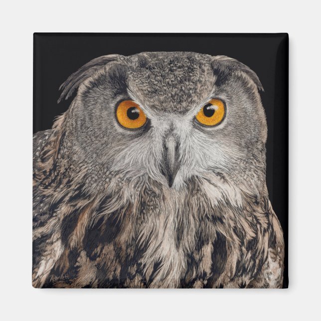 Eagle Owl Magnet (Vorne)