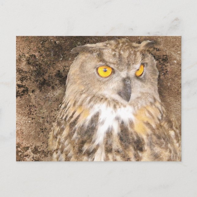 Eagle Owl Rugged Background Postkarte (Vorderseite)