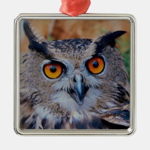 Eagle Owl Silbernes Ornament