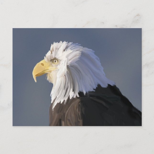Eagle Postcard Postkarte (Vorderseite)