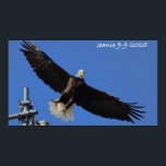 Eagle Poster<br><div class="desc">eagle</div>