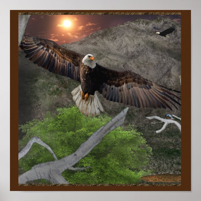 Eagle Posters Poster (Vorne)