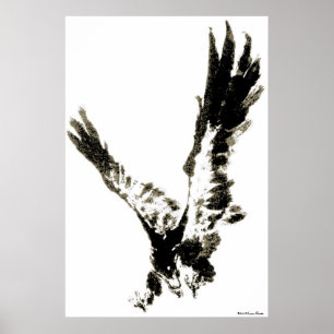 Eagle Print Poster