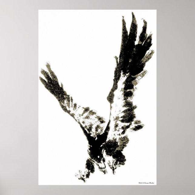 Eagle Print Poster (Vorne)