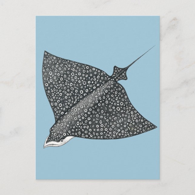 Eagle Ray Postkarte (Vorderseite)