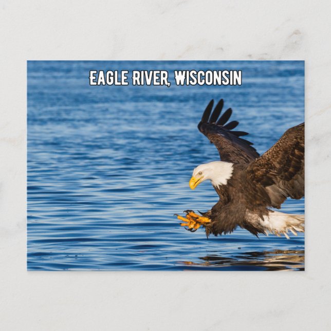 Eagle River Flying Eagle Wisconsin Postcard Postkarte (Vorderseite)