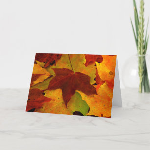 Eagle River Herbst Karte