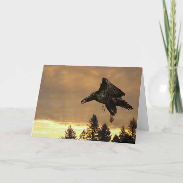 Eagle-Sonnenaufgang-Gruß-Karte Karte (Vorderseite)