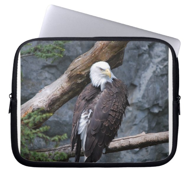 Eagle-Stangen-Elektronik-Tasche Laptopschutzhülle (Vorderseite)