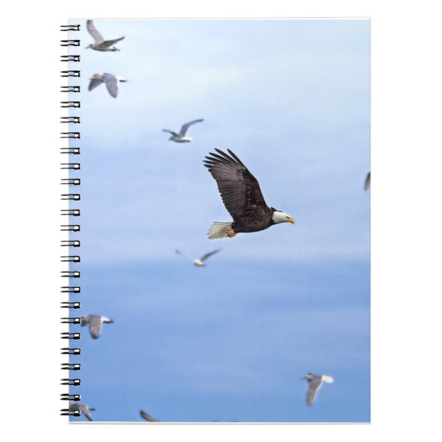Eagle und Seemöwe-Fliegen Notizblock (Vorderseite)