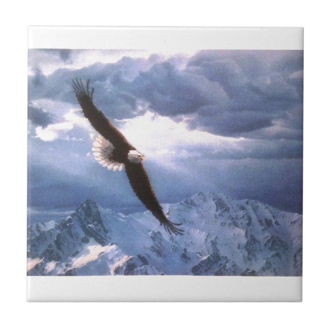 Eagle verwittert den Sturm Fliese (Vorderseite)