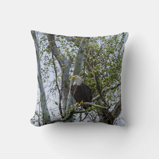 Eagle Watch out Kissen (Vorderseite)