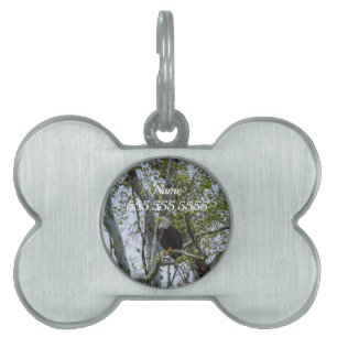 Eagle Watch out Pet ID Tag Tiermarke