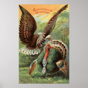 Eagle, welches die Türkei in Angriff nimmt Poster