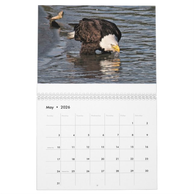 Eagles durch Tamara-Kalender Kalender (Mai 2026)