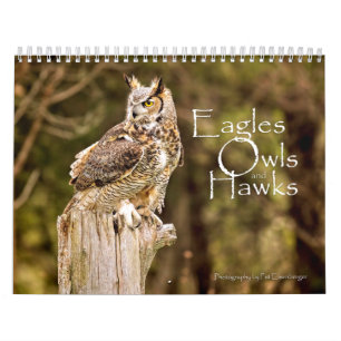 Eagles-, Eulen-und Falke-Tier-Kalender Kalender