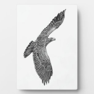 EAGLES HARRIET + M ZUHAUSE FAMILIENBAUM E9s NEUES  Fotoplatte