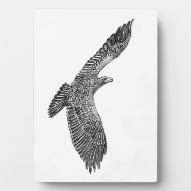 EAGLES HARRIET + M ZUHAUSE FAMILIENBAUM E9s NEUES  Fotoplatte (Vorderseite)