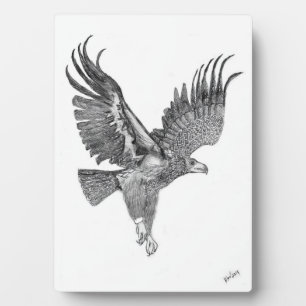 EAGLES HARRIET +M ZUHAUSE FAMILY TREE SOAR HOCH KO FOTOPLATTE