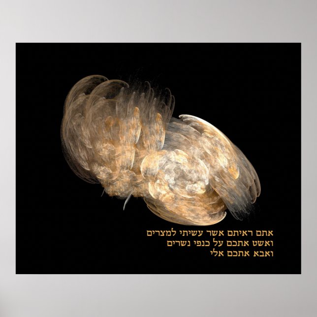 Eagle's Wings Poster (Vorne)