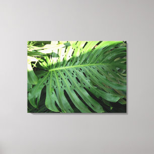 Ear-Pflanze-Canvas-Druck Leinwanddruck